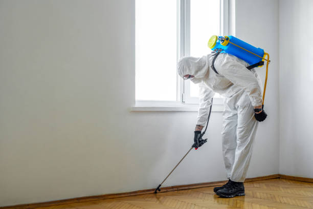 Best Emergency Pest Control  in Boston, GA